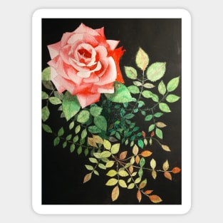 Pink rose watercolor painting with rose leaves and a dark background Sticker